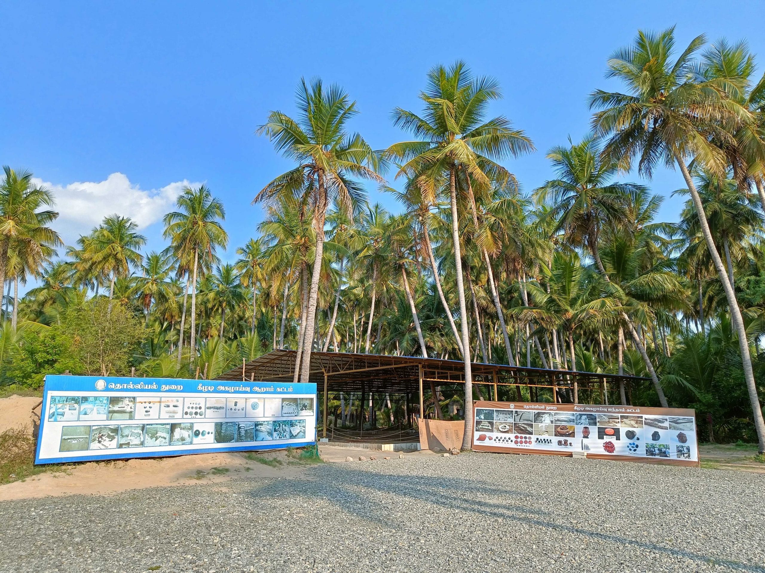 Keeladi excavation site. | Photo Credit: Sowmiya Ashok