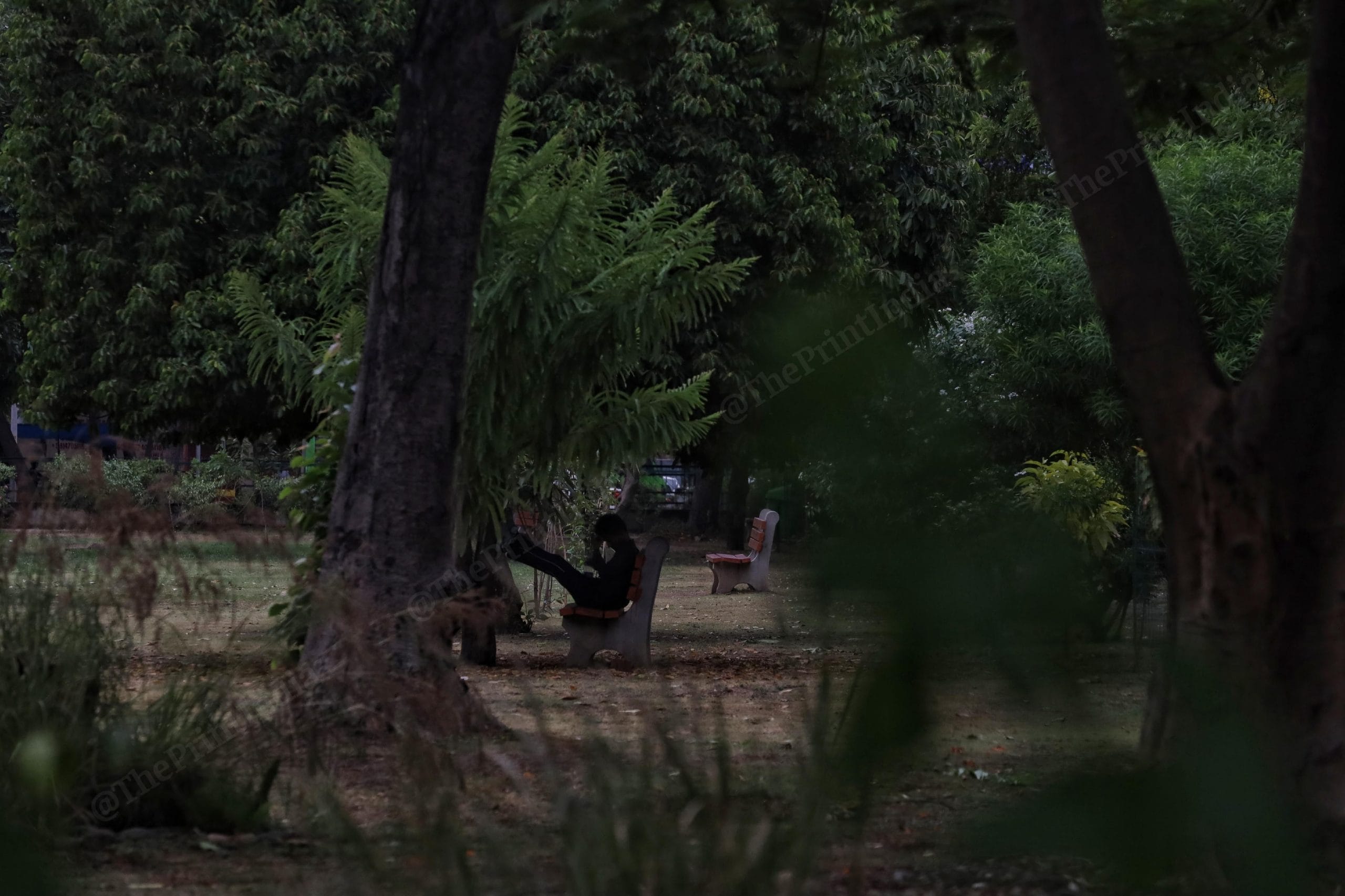 The area in the park at Chandigarh’s Sector 27 where Sippy Sidhu was shot dead on 20 September 2015 | Manisha Mondal | ThePrint