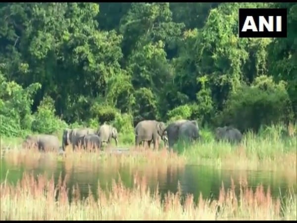 Kaziranga National Park regulates speed of vehicles in view of floods, animal migration
