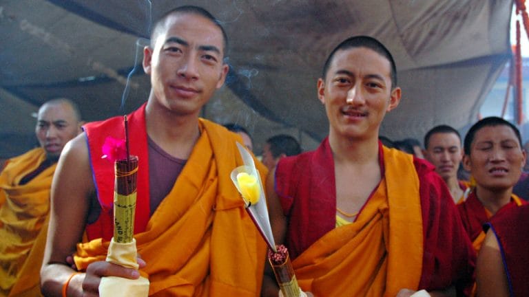 Celibacy can come with surprising evolutionary advantages. New research shows how