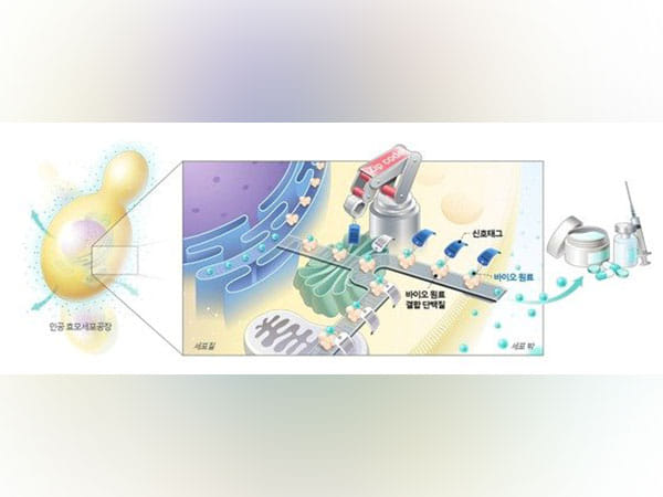 South Korea develops synthetic biology technology to extract biomaterials from artificial cells