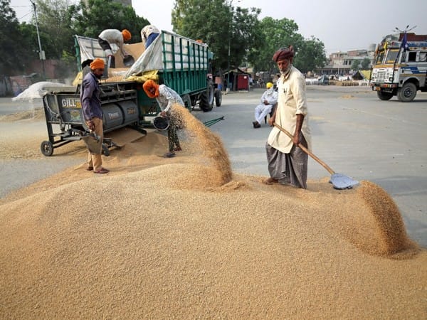 UAE orders suspension of export of Indian wheat for four months: Report