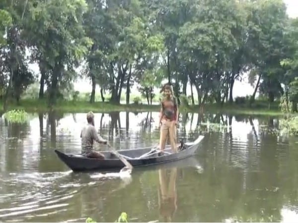 Assam: 44 anti-poaching camps of Kaziranga National Park inundated due to floods 