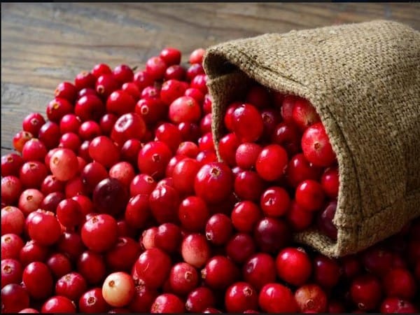 Study: Consuming cranberries enhances memory, curbs bad cholestrol