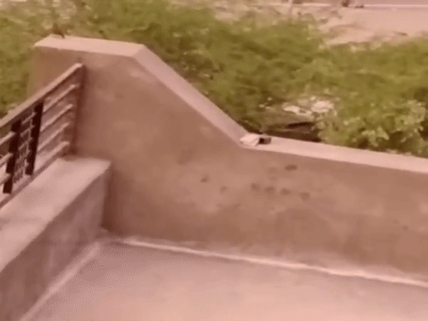 Watch: This is how Udaipur murderers were caught