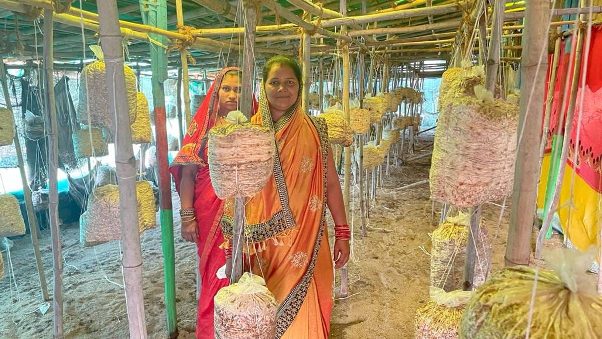 Women work at a gauthan's vermicompost unit | Photo: Ishadrita Lahiri | ThePrint