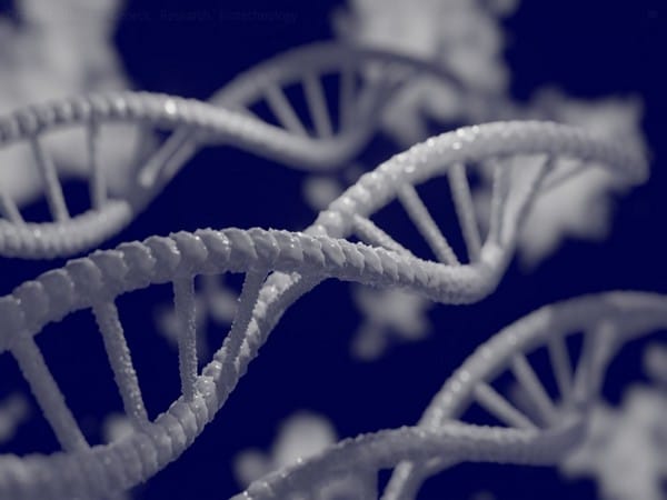 Study: Most 'silent' genetic mutations are harmful