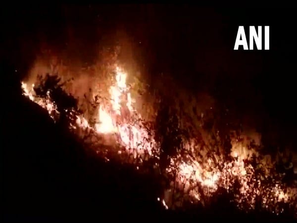 Fire rages in forest area of Uttarakhand's Tehri Garhwal 