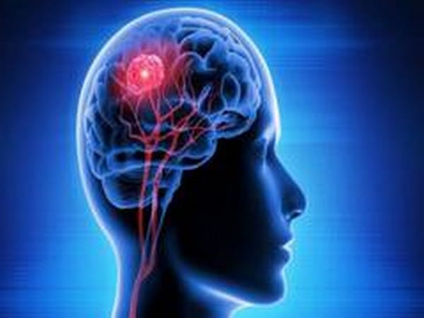 Study explains how does our brain process and store movement