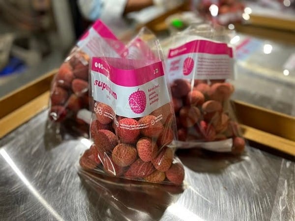 Superplum designs and rolls out India's first modern Litchi Supply Chain