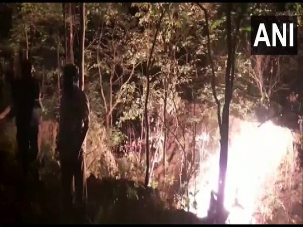 Chhattisgarh: Forest dept officials perform last rites of tiger found dead in Guru Ghasidas National Park