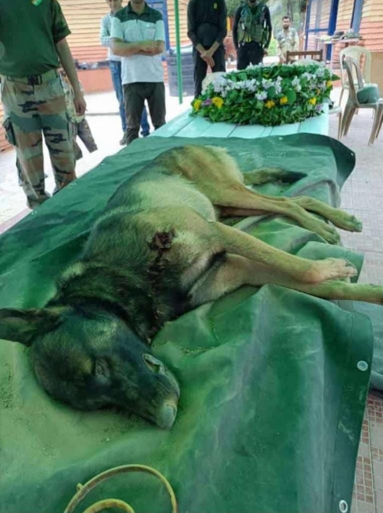 Axel latched onto the terrorist despite being shot at | Credit: Indian Army