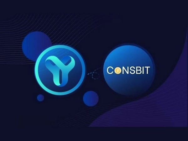 YES WORLD Token is TOP Gainer, Up 4900 per cent in just 24 hours! Highest Volume for a newly listed Token