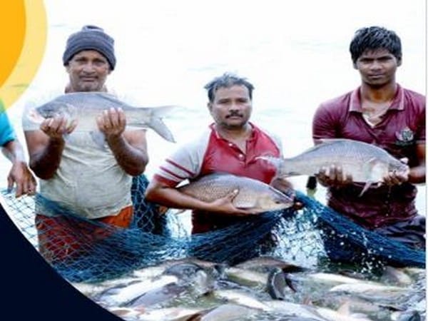 National Fish Farmers Day to be celebrated tomorrow