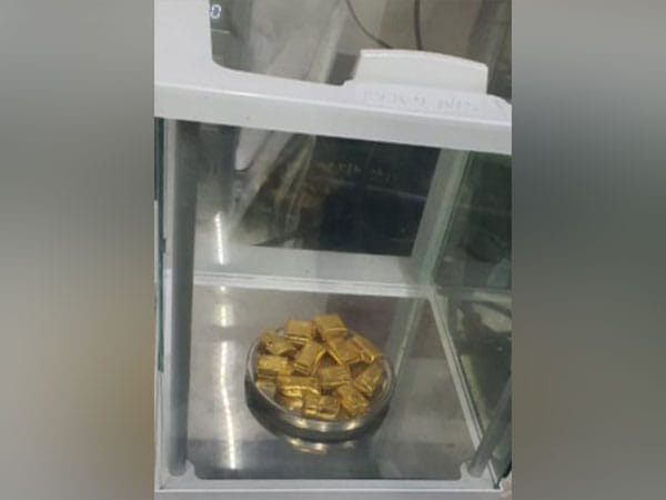 Gold worth over Rs 30 lakh recovered from SpiceJet plane in Kolkata