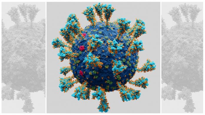 An atomic model of the external structure of the SARS-CoV-2 | Commons