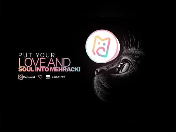 Can Mehracki (MKI) get as big as Dogecoin (DOGE) and Shiba Inu (SHIB), Kings of Meme Coins?