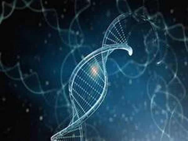 'Junk' DNA may cause cancer by preventing DNA replication, say scientists 