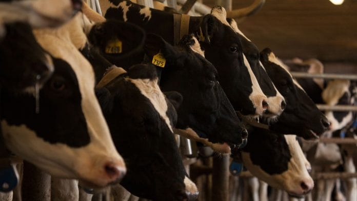 Representational image | Flickr