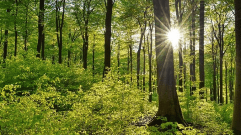 Ambulances for plants are taking root in India. Traffic give way, trees need first aid
