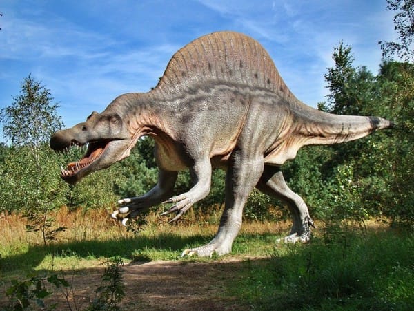 Study: Dinosaurs takes over amid ice not warmth