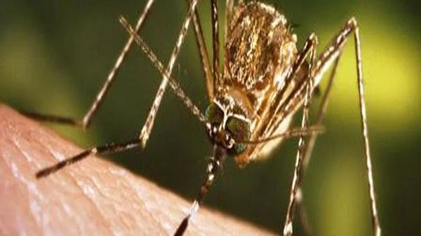 Japanese Encephalitis claims 3 more lives in Assam, death toll reaches 35
