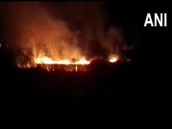 Fire breaks out in West Bengal's Kandi forest area