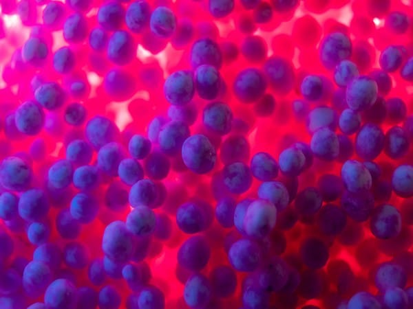 Study finds usage of microbes linked to making supercharged rocket fuel