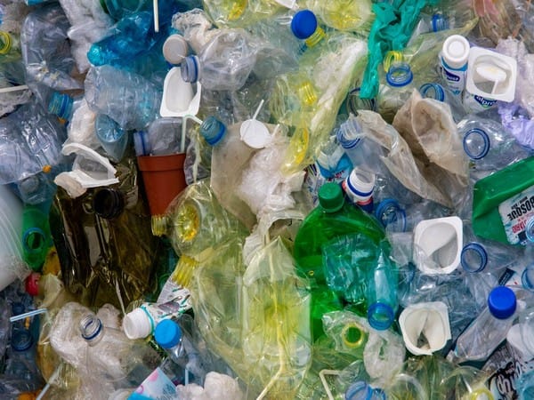 Ban on single-use plastic comes into effect from today