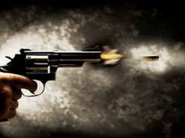 Pakistan: PML-N MPA's son injured in firing