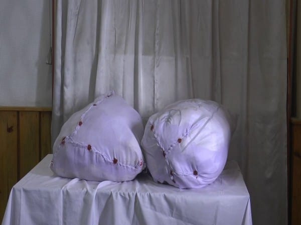 Imphal police arrest truck driver carrying opium worth Rs 10 crore, seize stash