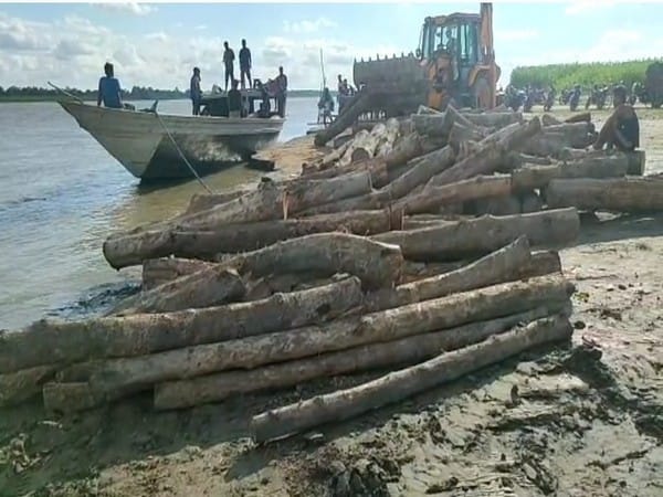 Forest officials seize illegal timber in Assam's Barpeta 