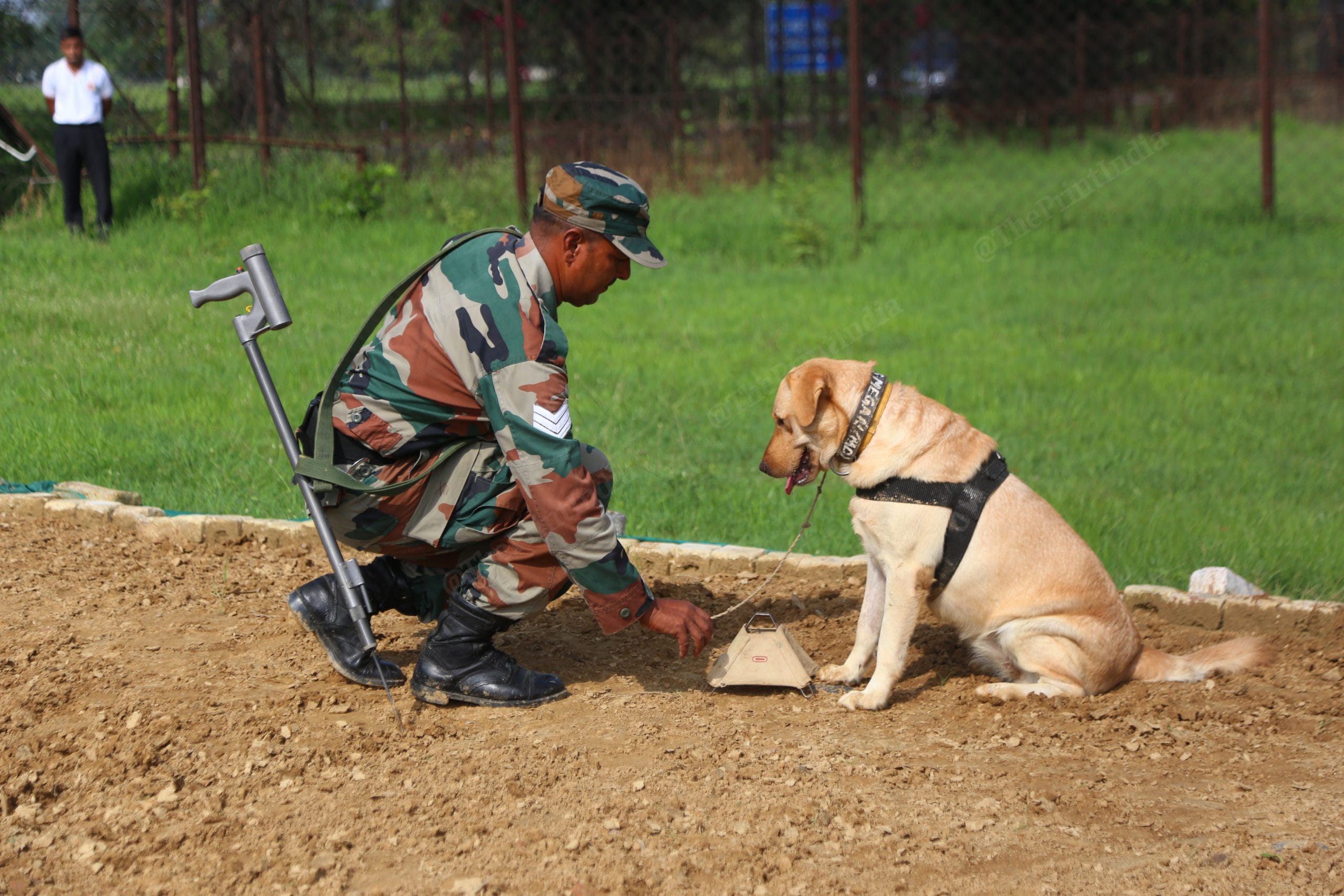 A Labrador sniffing the mining field | Manisha Mondal/ThePrint