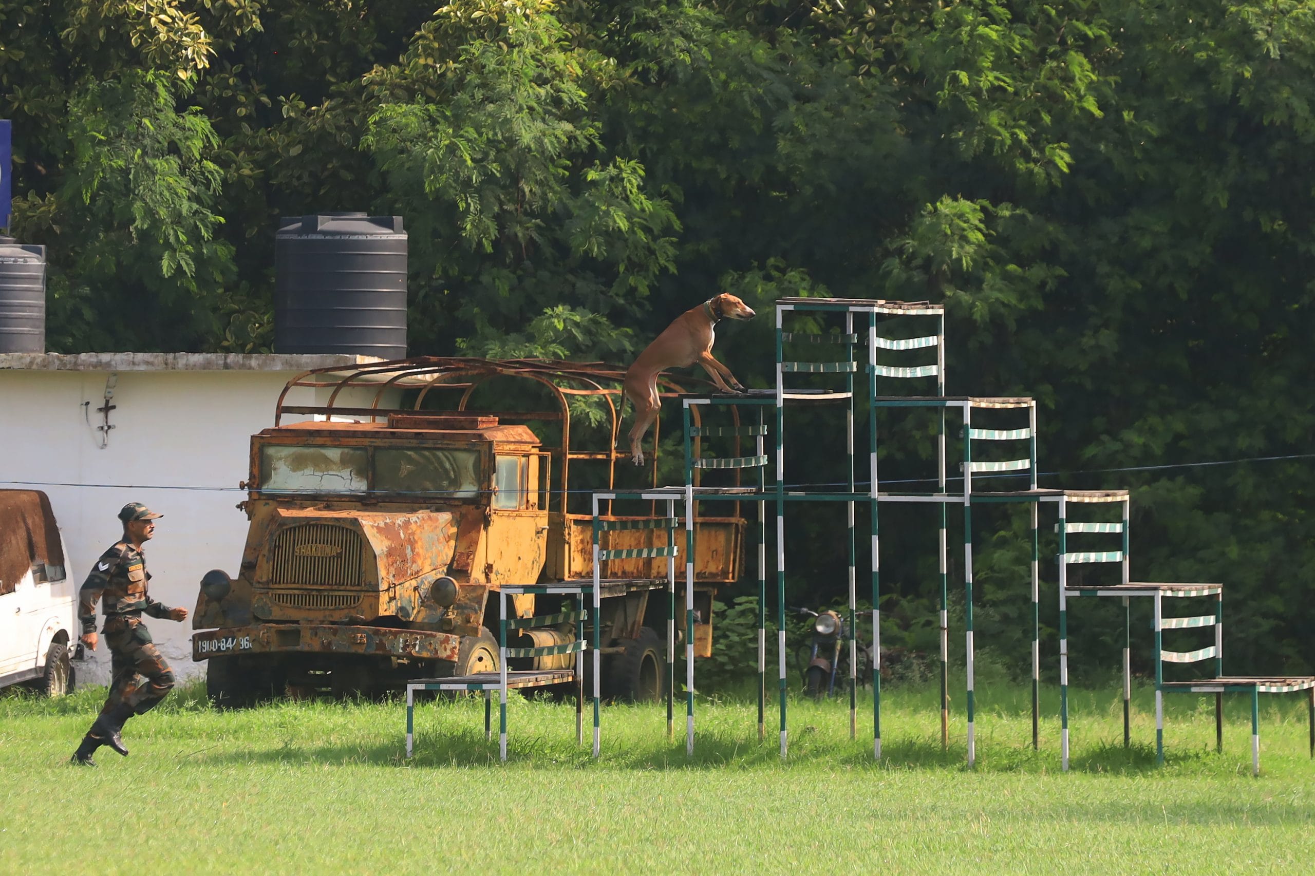 Dog training continues at the RVC Centre, Meerut | Manisha Mondal/ThePrint