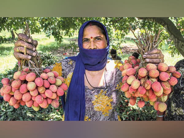 Coca-Cola India's Project Unnati has touched the lives of 3.5 lakh plus farmers across 12 states in India