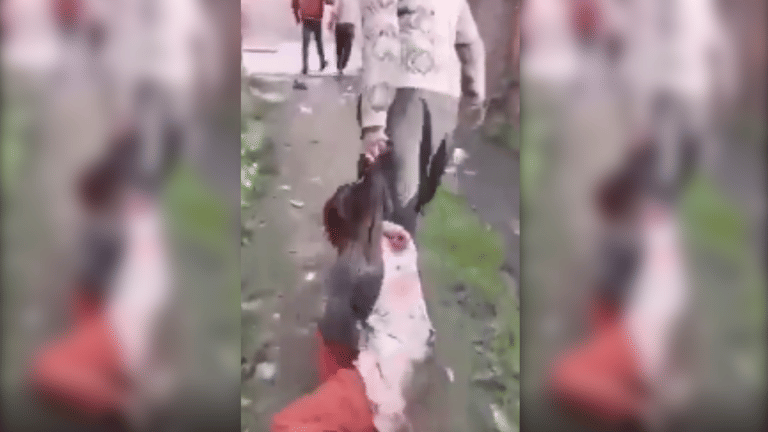 Woman being attacked in viral video a victim of land dispute, not Hindu from Pakistan