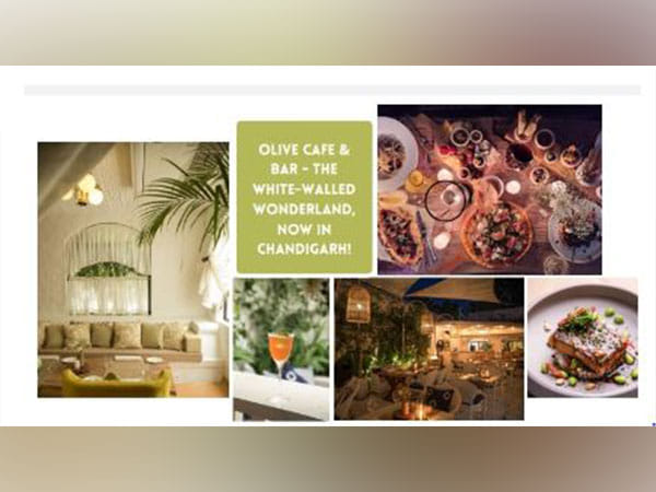 The Olive Cafe & Bar, the white-walled wonderland, opens in the city beautiful