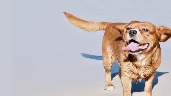 Representational image | Pixabay