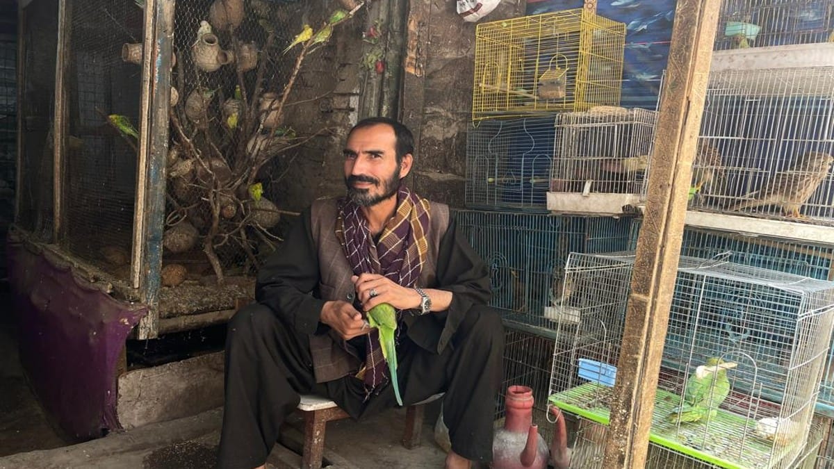 At the Kah Faroshi bird market in Kabul’s old city | Jyoti Malhotra | ThePrint