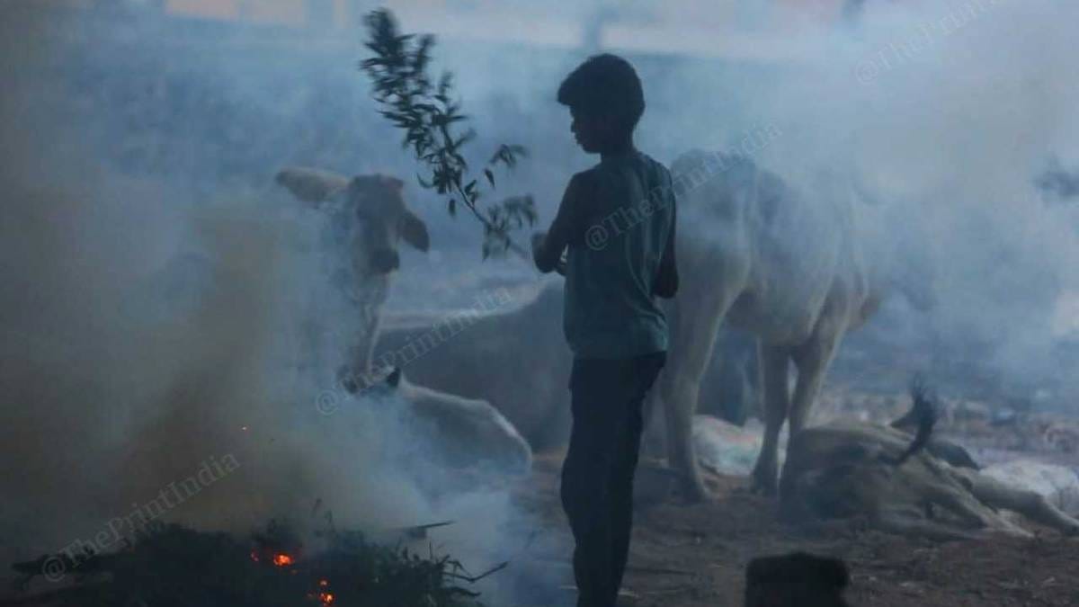 Neem leaves being burnt to keep away flies and insects at the Gandhidham camp | Photo: Praveen Jain | ThePrint