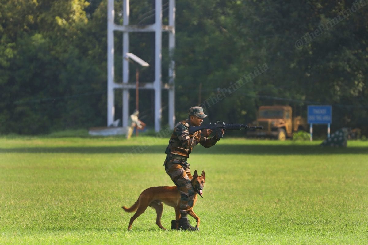 Belgian Malinois are known for its agility and aggression | Photo: Manisha Mondal | ThePrint 