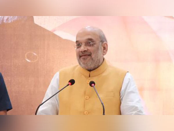 Amit Shah calls upon States to work as Team India