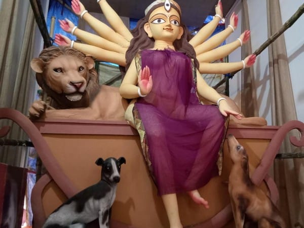 'Pet-friendly' themed Durga Puja organised by North Kolkata's Bidhan Sarani Atlas Club