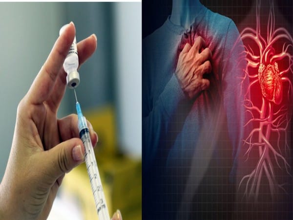 World Heart Day: Are COVID booster shots related to development of cardiac ailments? Experts reveal