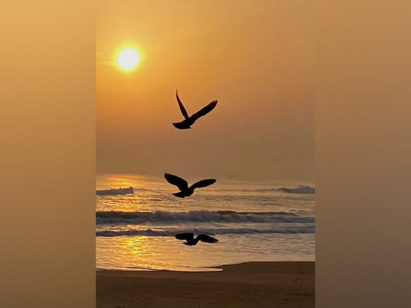 Odisha hamlet declares itself 'Birds Village' to protect migratory birds