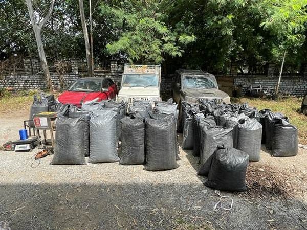 Central Bureau of Narcotics seizes more than 1,000 kg poppy straw in operation in Madhya Pradesh