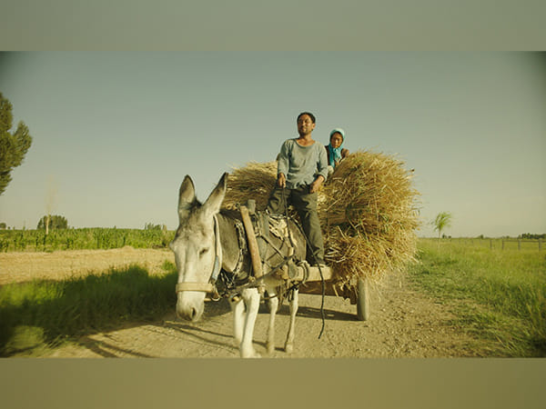 China deletes 'Return to Dust' from streaming services 