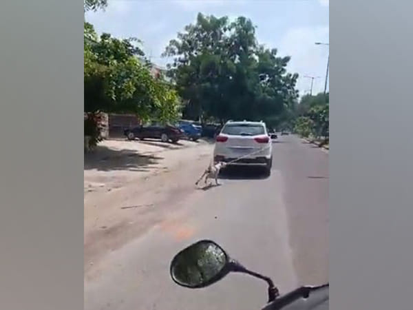 Video shows dog tied to car being dragged on road in Jodhpur, case registered