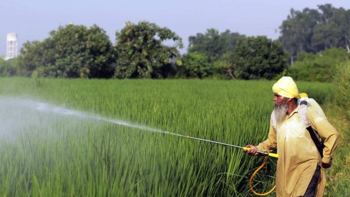 Representational image of a field in Punjab | ANI