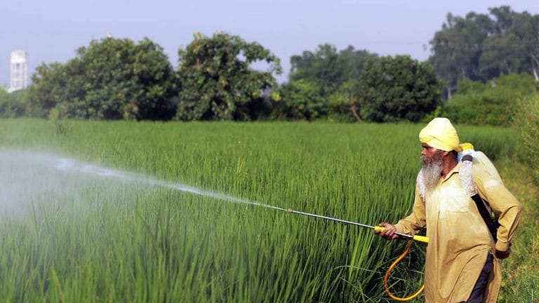 States should take charge of farm subsidies, says study co-authored by ex-CEA Subramanian